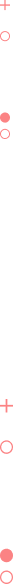 detailImage